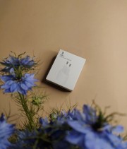 Сетевое зарядное устройство для iPhone 20W USB-C Power Adapter (Model A2347)