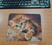 Perfeo Коврик для компьютерной мыши котенок на одеяле Рис.44 (240*200*2) ткань+резиновое основание