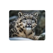 Perfeo Коврик для компьютерной мыши ирбис Рис.9 (240*200*2) ткань+резиновое основание