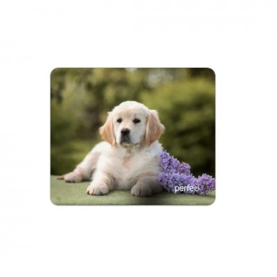 Perfeo Коврик для компьютерной мыши золотистый ретривер Рис.12 (240*200*2) ткань+резиновое основание