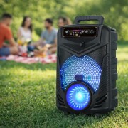 Блютуз-колонка NDR-P44, 15 Вт, пульт + проводной микрофон, черный (dp)